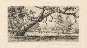 Paysage de Californie