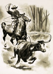 Un cow-boy attrape un bouvillon à cheval avec un lasso - Henry Charles Fox