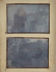 M. Barton
