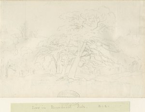 Parc de Beaudesert : dessin au crayon, nd [1788-1855] - Henry Curzon Allport