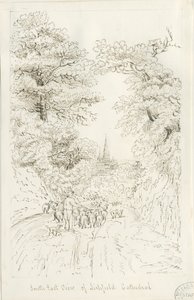 Cathédrale de Lichfield - Vue Sud-Est (lointaine) - Henry Curzon Allport