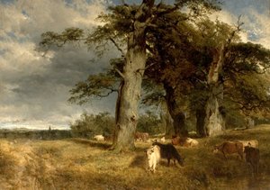 Paysage dans les Dukeries, Nottinghamshire, 1850 - Henry Dawson