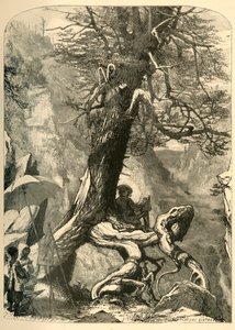 Au-dessus du pont naturel
