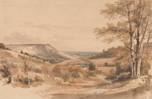 Boxhill depuis Westhumble Lane