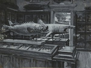 Vue intérieure du Musée britannique montrant la galerie des expositions de poissons, vers 1880 - Henry Edward Tidmarsh