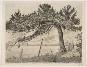 Pelham Bay, vers 1875 - Henry Farrer