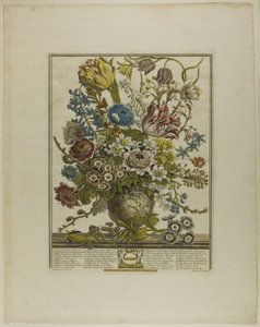 Mars, des Douze Mois de Fleurs - Henry Fletcher