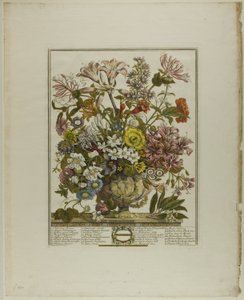 Octobre, des Douze Mois de Fleurs
