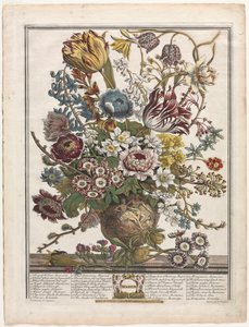 Douze mois de fleurs : Mars - Henry Fletcher
