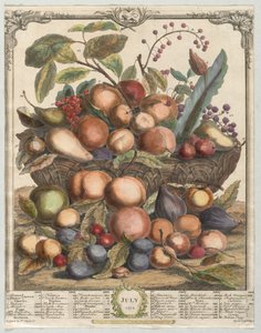Douze mois de fruits : Juillet, 1732