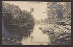 Les Narrows Dells du Wisconsin