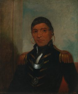 Big Buffalo (Chippewa) - Henry Inman