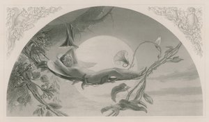 Ariel, la Tempête