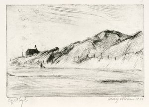 Paysage de dunes avec maison et personne
