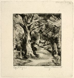 Chemin forestier. Forêt de Riis