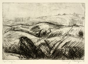 Paysage vallonné - Henry Nielsen