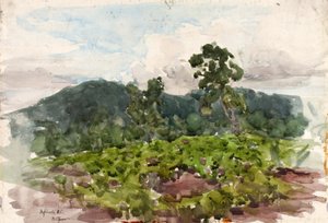 Highlands, N.C. - Henry Ossawa Tanner