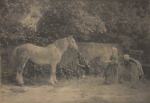[Old Dapple] - Henry Peach Robinson