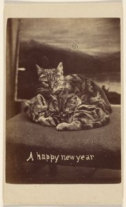 Une bonne année