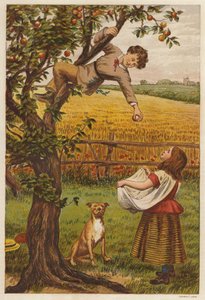 Cueillir des pommes