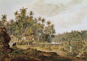 Vue près de Point du Galle, Ceylan, gravée par Daniel Havell (1785-1826) publiée en 1809