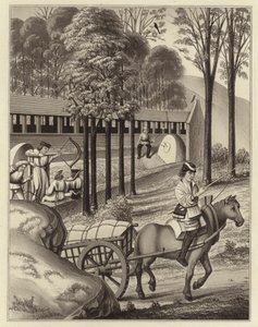 Tir à l