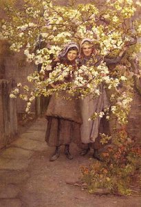 Fleur de pommier