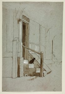 Chat sur le pas de la porte