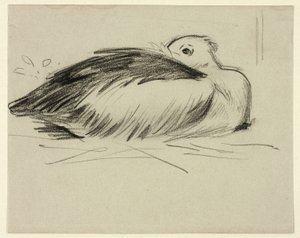 Croquis de la cigogne nicheuse - Henry Stacy Marks
