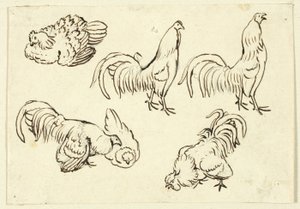 Croquis de volailles - Henry Stacy Marks