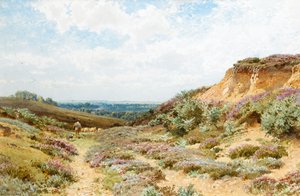 Bruyère sur une lande du Surrey - Henry Sutton Palmer
