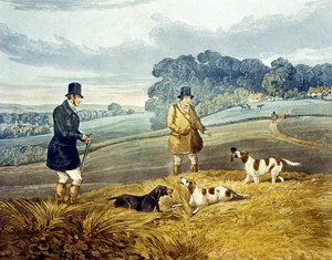 Récupération, planche de 