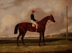 Cheval de course bai avec un jockey sur un hippodrome