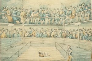 Combat de chiens au Westminster Pitt - Henry Thomas Alken