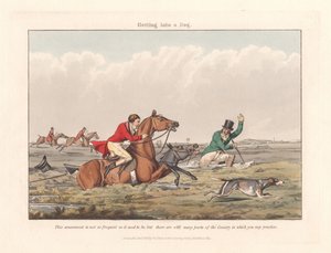 [Chasse au renard] Certains le font et d