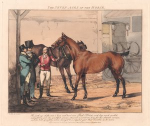 Série de sept : Les sept âges du cheval - Henry Thomas Alken