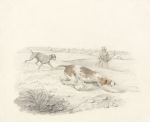 Deux pointeurs, face à droite avec un sportif - Henry Thomas Alken