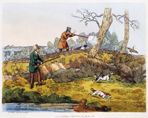 Chasse à la bécasse