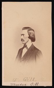 Portrait de Theodore Nicholas Gill 1837-1914, entre 1865 et 1870