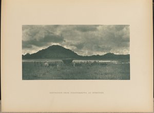 Retour de Polonnaruwa à marée basse - Henry W. Cave