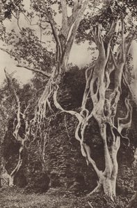 Villes en ruines de Ceylan : Kotuwa