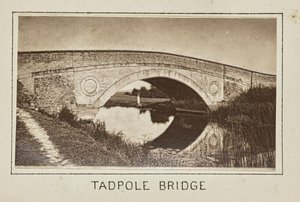 Pont Tadpole