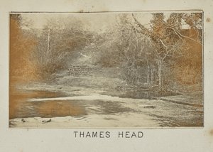 Tête de la Tamise