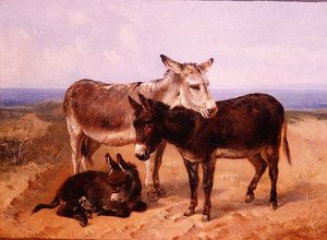 Ânes de sable