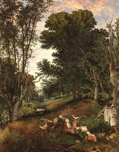 Vers le soir dans la forêt