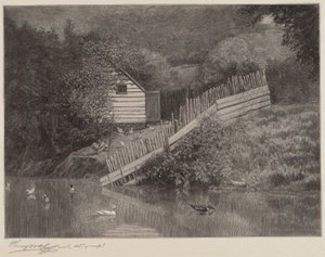 Un étang à canards