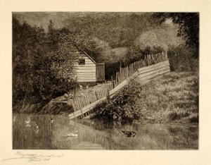 Une mare aux canards - Henry Wolf
