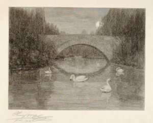 Soirée, Lac des Cygnes, Central Park, New York - Henry Wolf