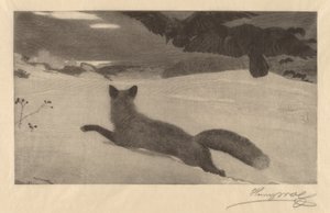 Hiver, la chasse au renard