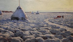 Marais lituaniens sous la neige.